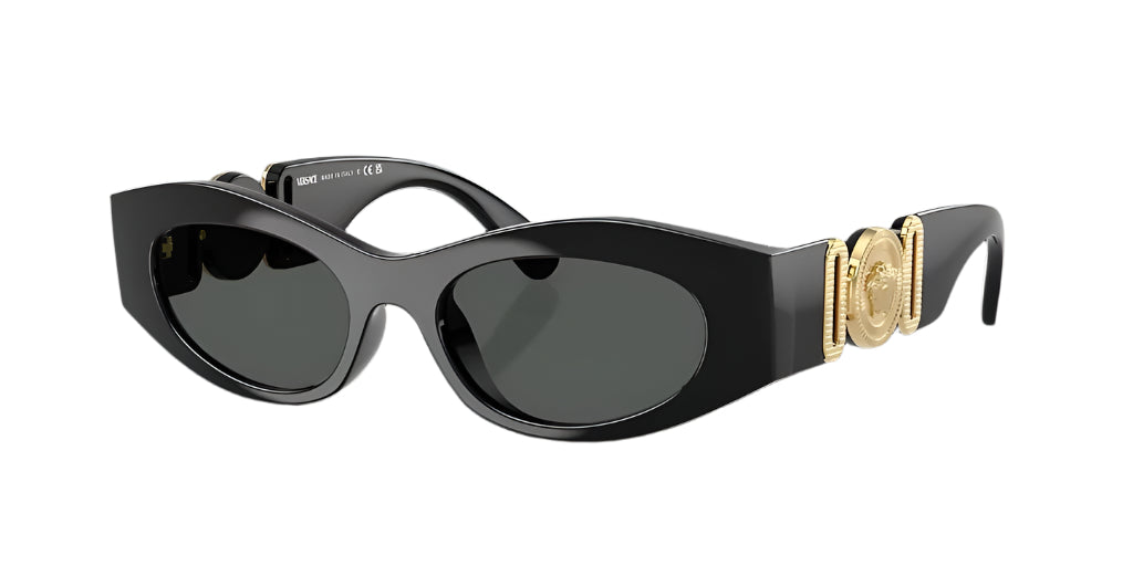 Versace VE4480U Sunglass