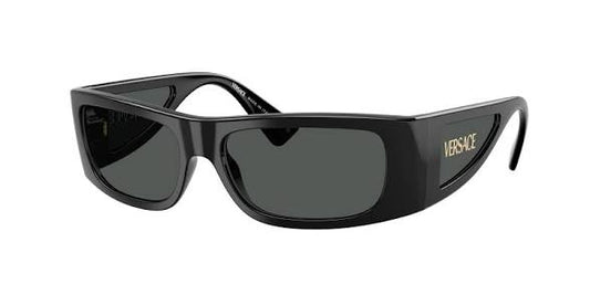 Versace VE4482 Sunglass black