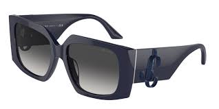 Jimmy Choo JC5006U sunglass