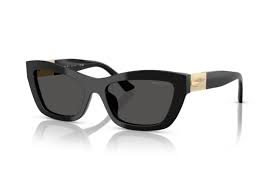 Jimmy Choo JC5030U sunglass